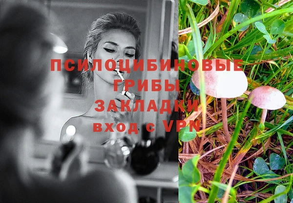 трава Майский