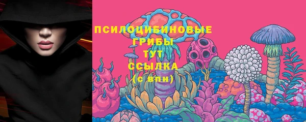 ECSTASY Магадан