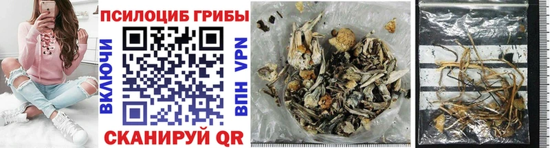 Купить где  Миллерово  Псилоцибиновые грибы Psilocybe 